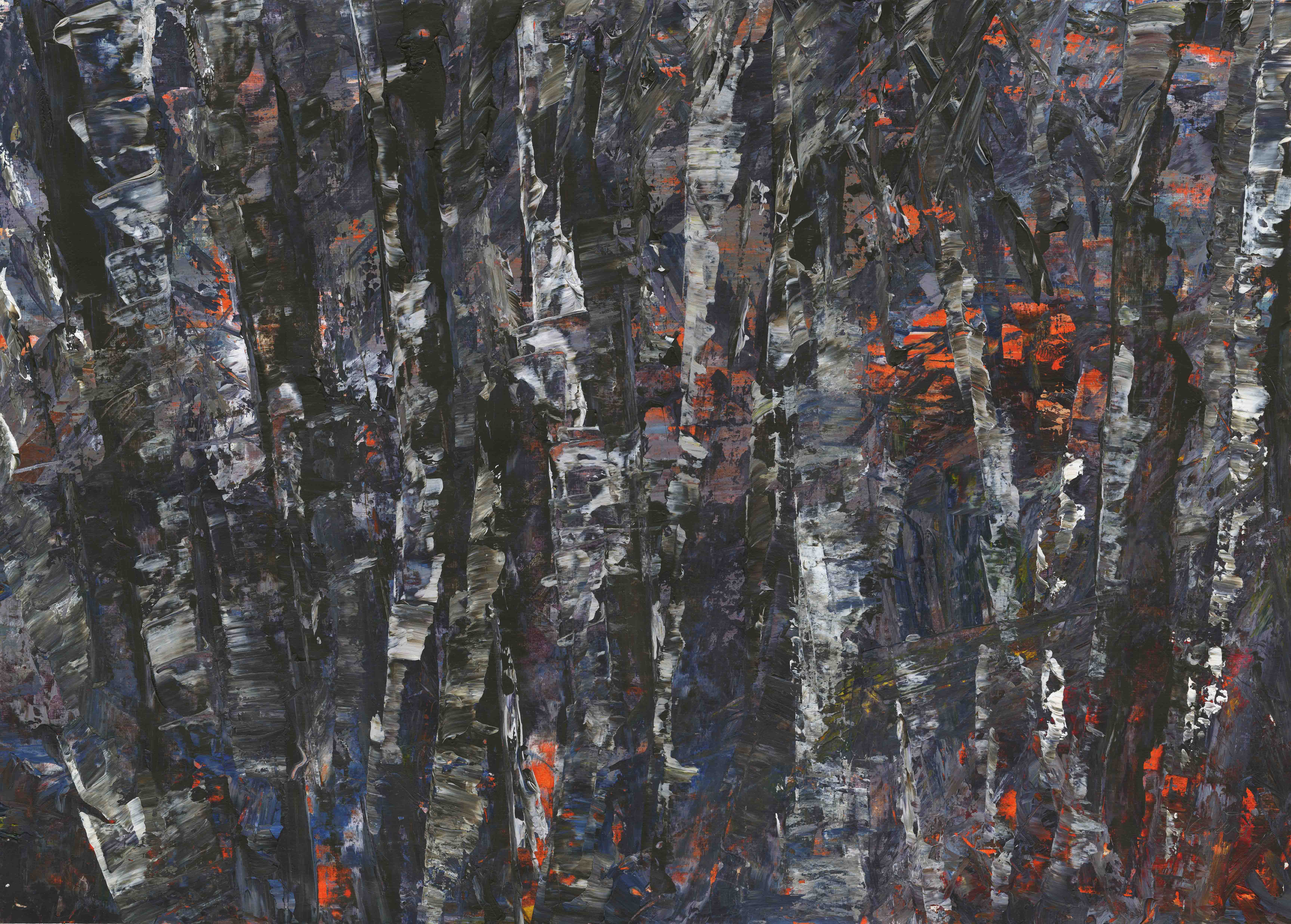 A mysterious natural painting of Irish trees.